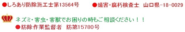 s@VA쏜